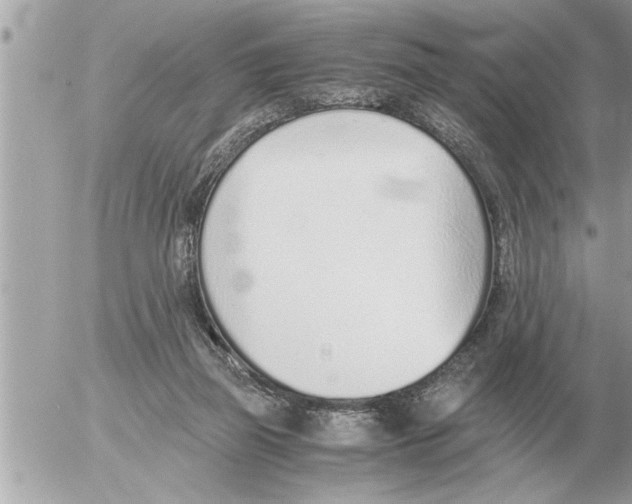 X0000052600165200507292132