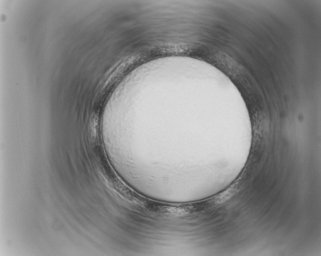 X0000052600166200507292132