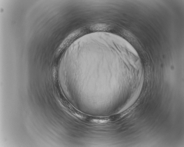 X0000052600167200507292132