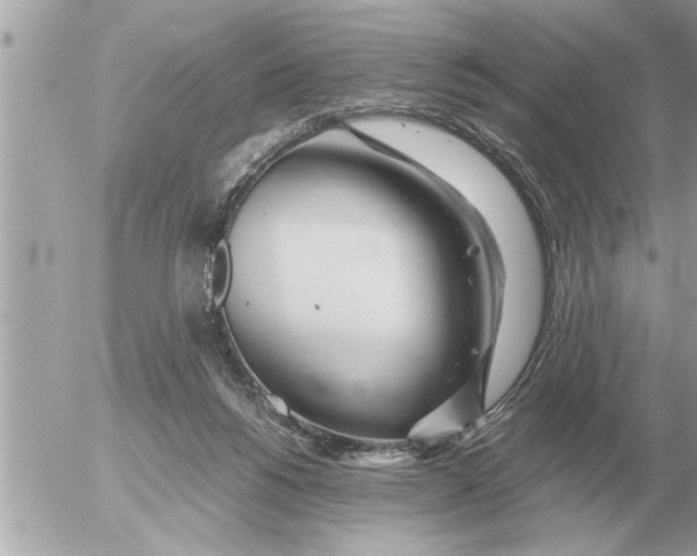 X0000052600168200507292132