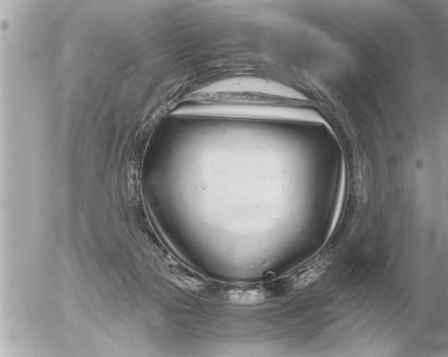 X0000052600169200507292132