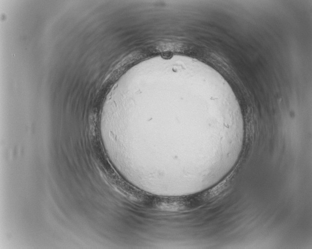 X0000052600171200507292132