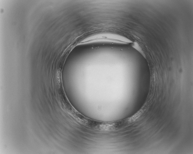 X0000052600172200507292132