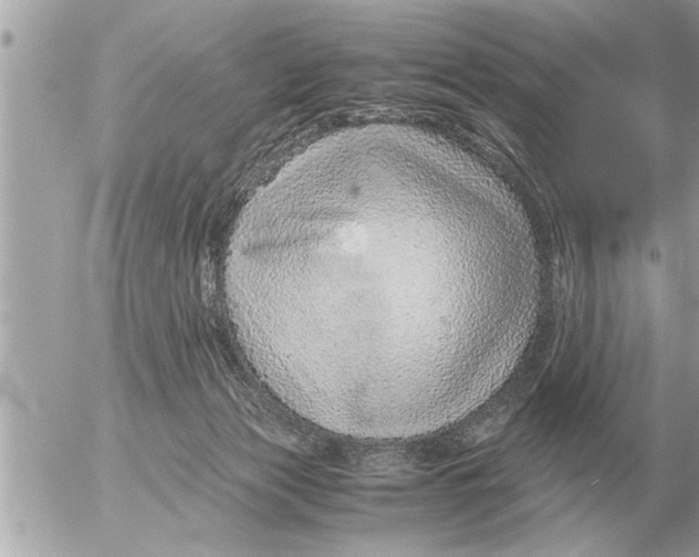 X0000052600173200507292132