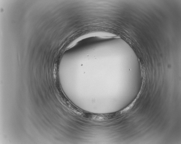 X0000052600174200507292132