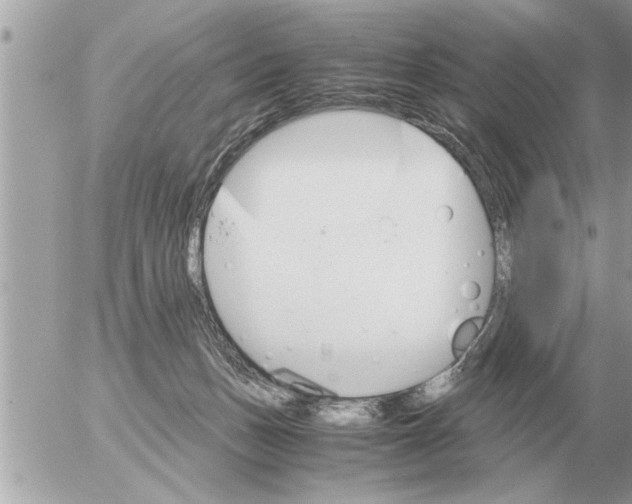 X0000052600175200507292132