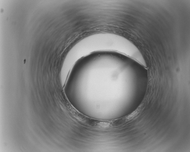 X0000052600176200507292132