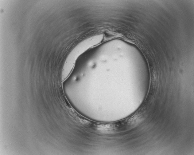 X0000052600177200507292132