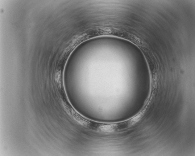 X0000052600178200507292132