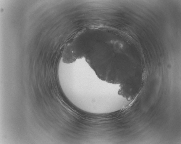 X0000052600179200507292132