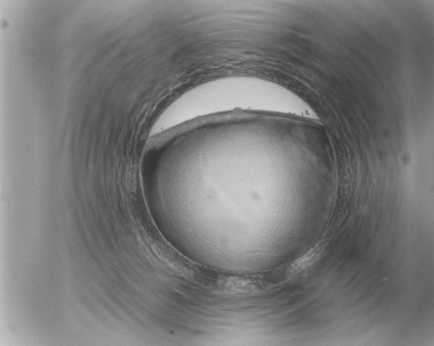 X0000052600180200507292132