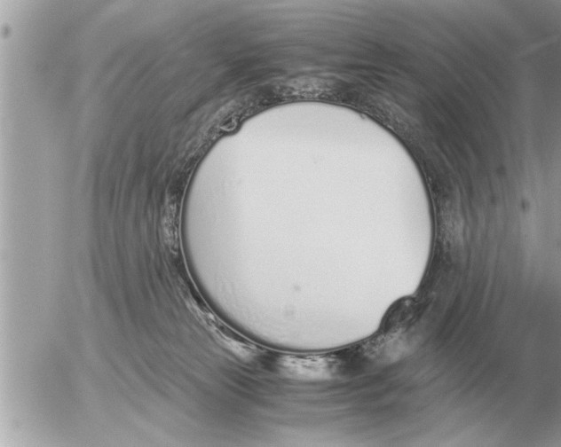 X0000052600181200507292132