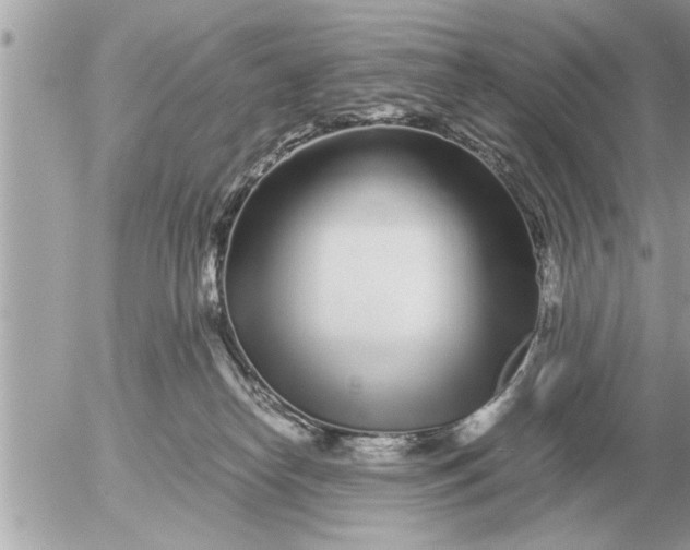 X0000052600182200507292132