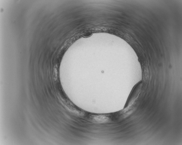 X0000052600183200507292132