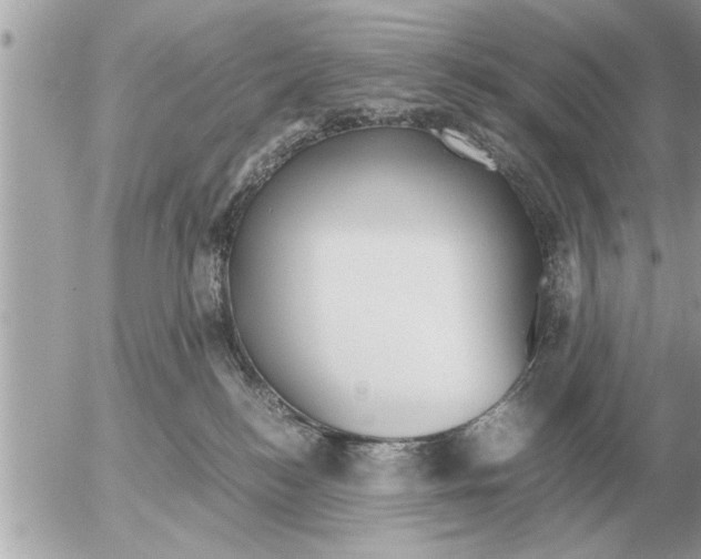 X0000052600184200507292132