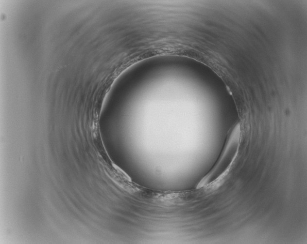 X0000052600186200507292132