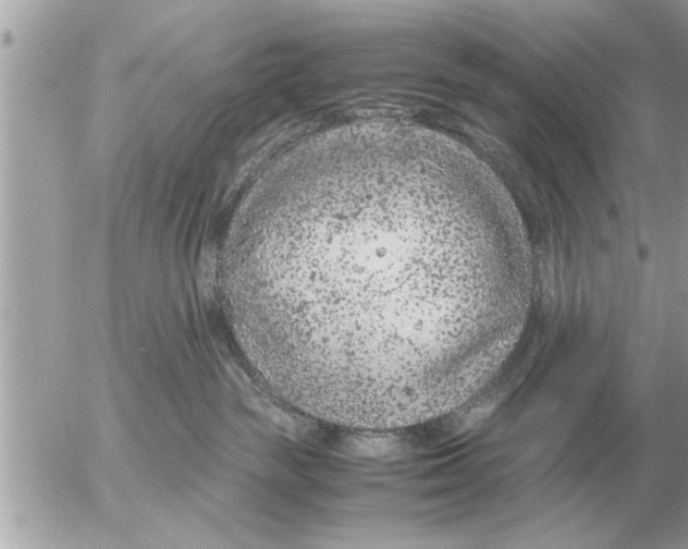 X0000052600189200507292132