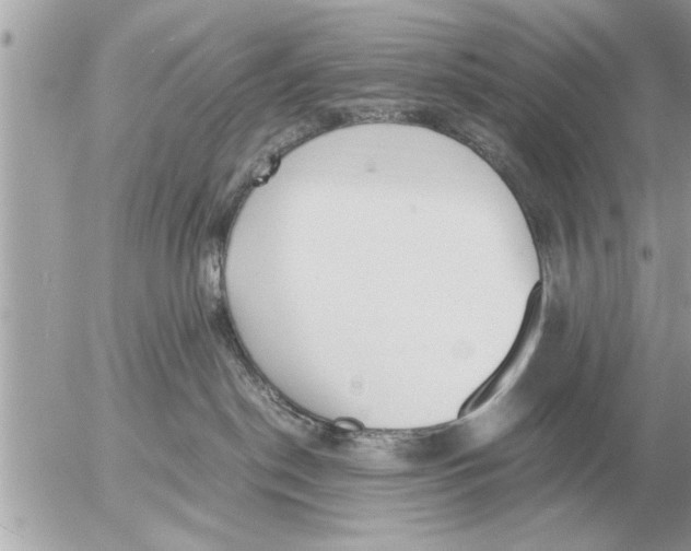 X0000052600190200507292132