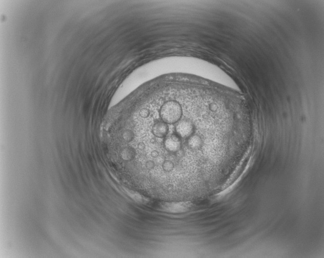 X0000052600191200507292132