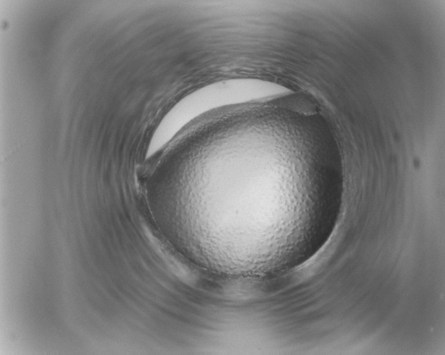 X0000052600192200507292132