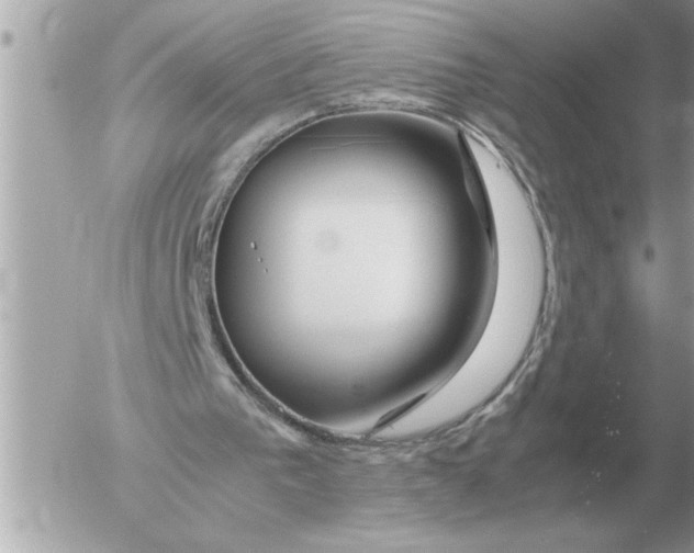 X0000052600193200507292131