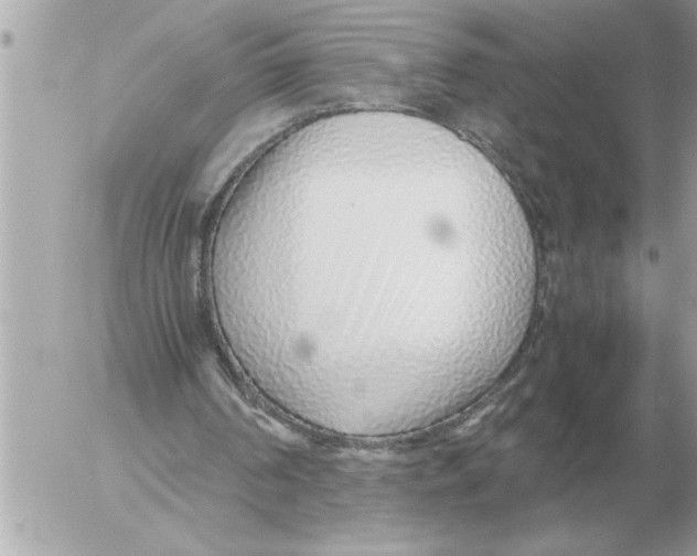 X0000052600194200507292131