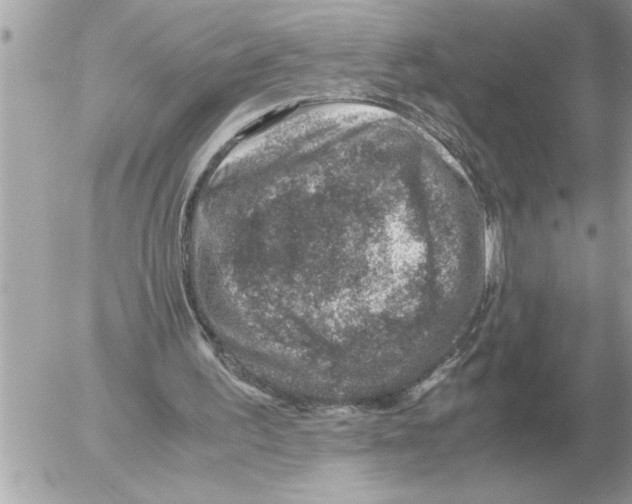 X0000052600195200507292131