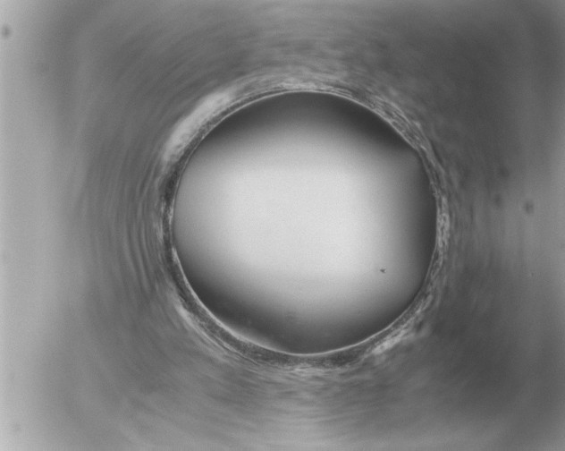 X0000052600197200507292131