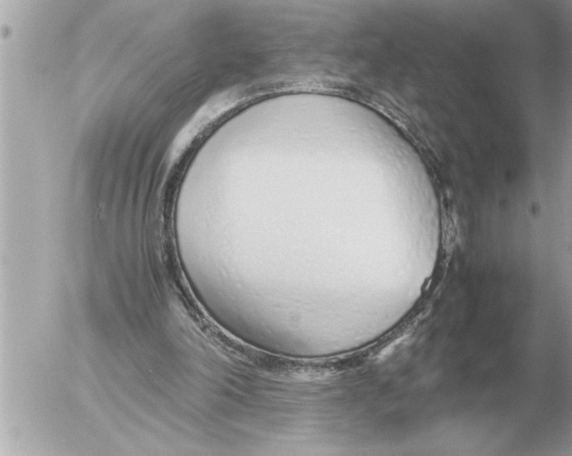 X0000052600198200507292131