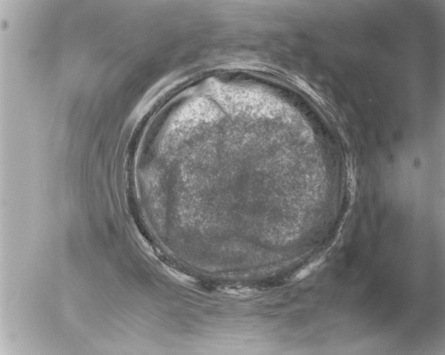 X0000052600199200507292131