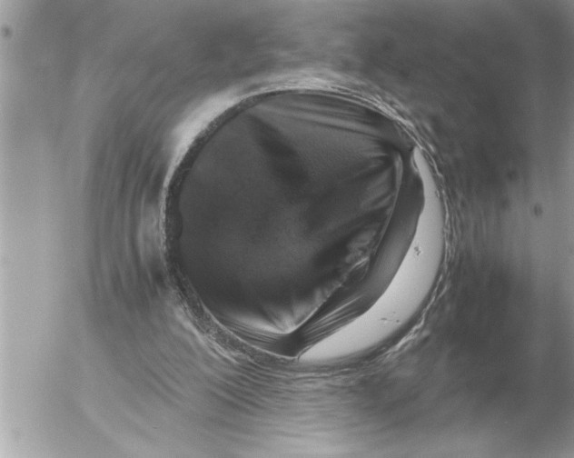 X0000052600200200507292131