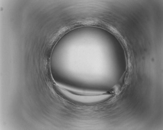 X0000052600201200507292131