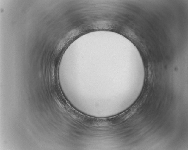 X0000052600202200507292131