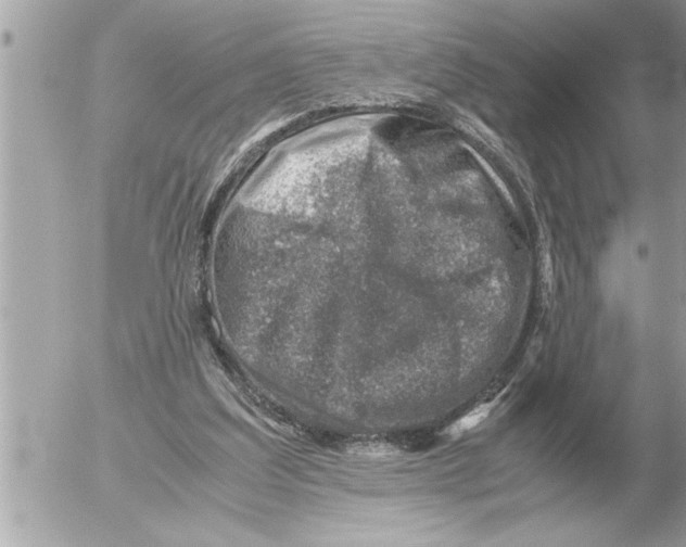 X0000052600203200507292131