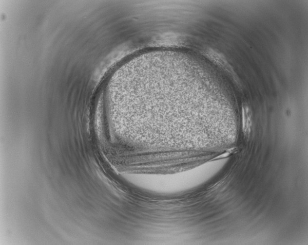 X0000052600204200507292131