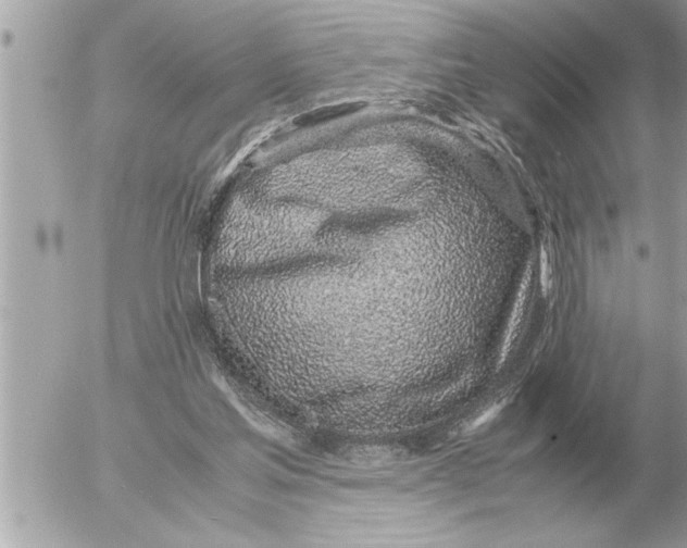 X0000052600205200507292131