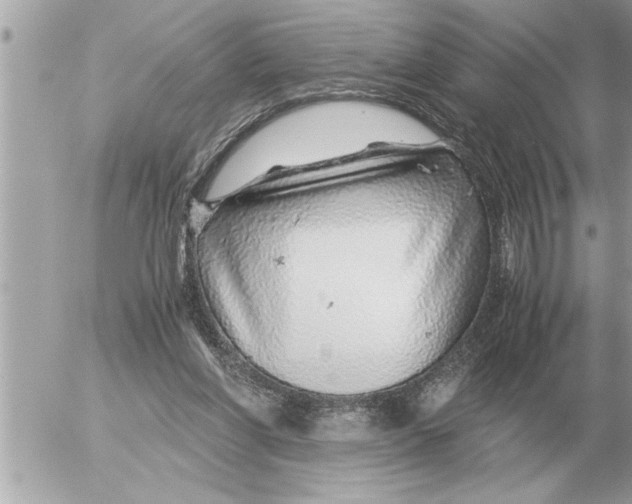 X0000052600206200507292131