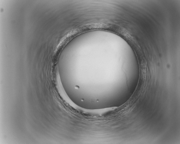 X0000052600207200507292131