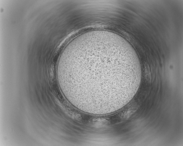 X0000052600208200507292131