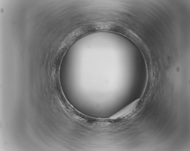 X0000052600209200507292131