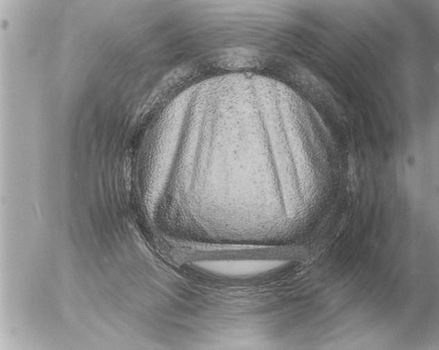 X0000052600210200507292131