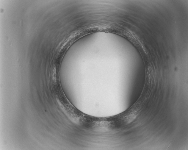 X0000052600212200507292131