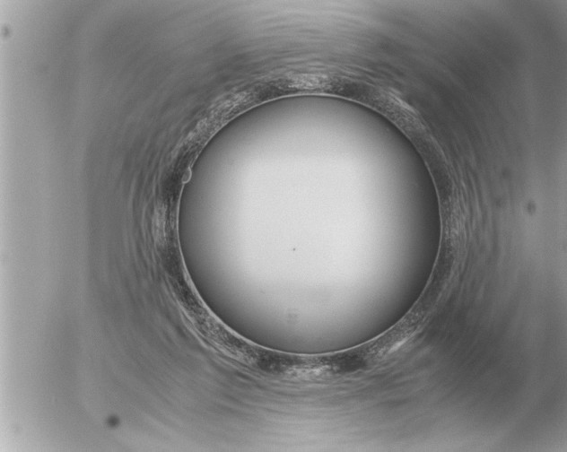 X0000052600213200507292131