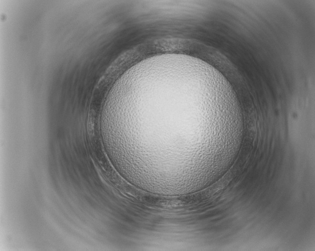 X0000052600214200507292131