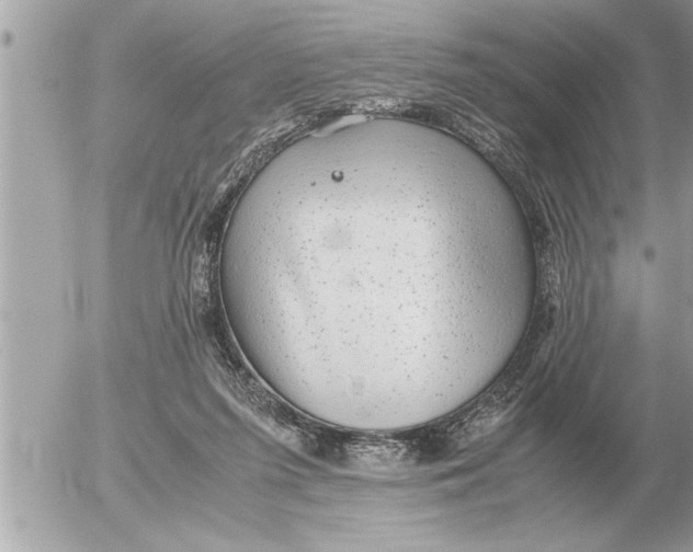 X0000052600215200507292131