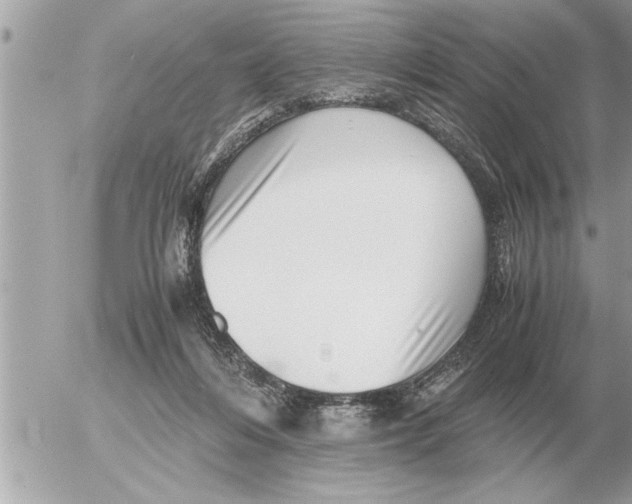 X0000052600216200507292131