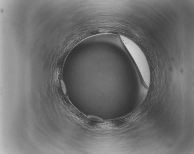 X0000052600219200507292131