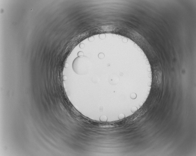 X0000052600220200507292131