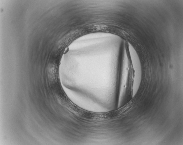 X0000052600222200507292131