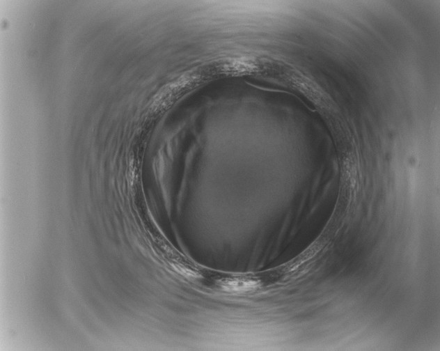 X0000052600223200507292131